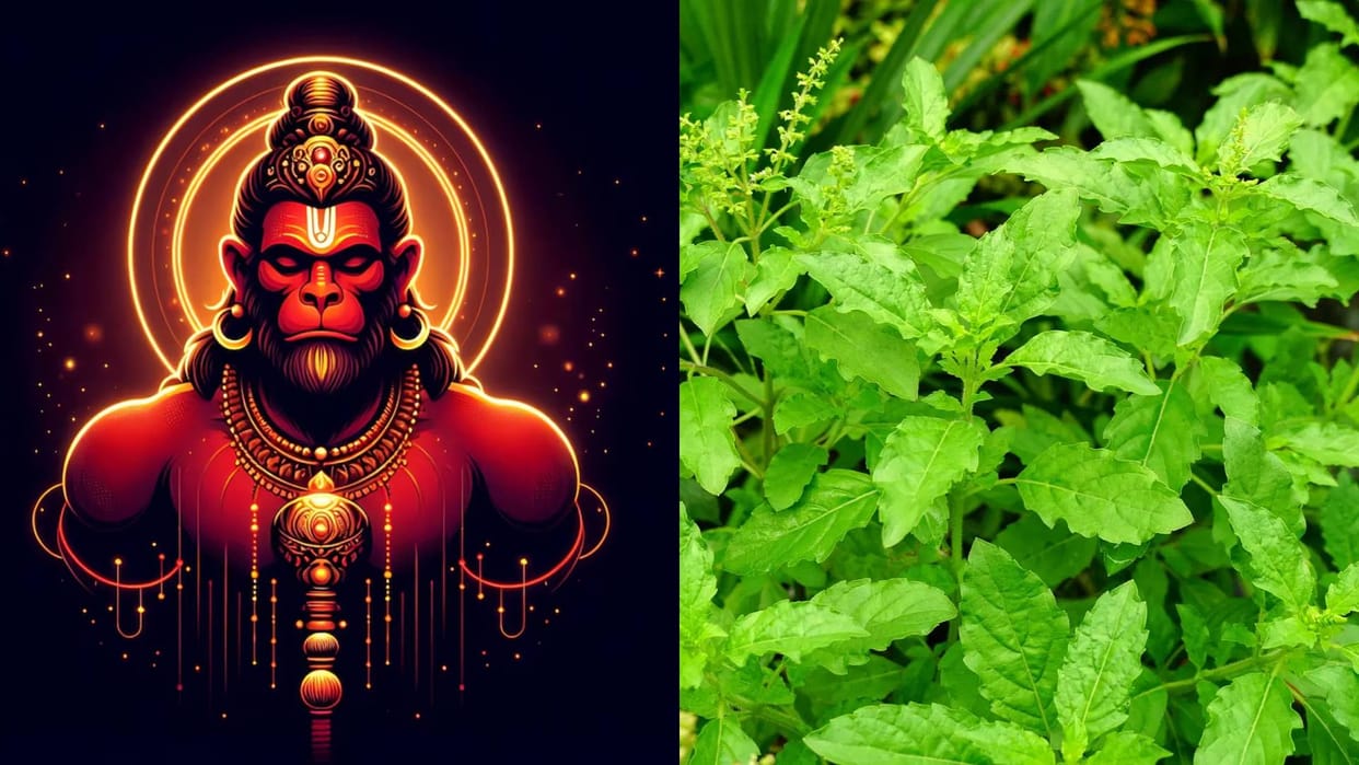 Hanuman Jayanti 2025 chant these mantras of Maa Tulsi Know the date time and muhurat in Hindi