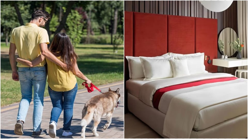 man committed suicide in hotel in Noida due to dispute over dog with live-in partner