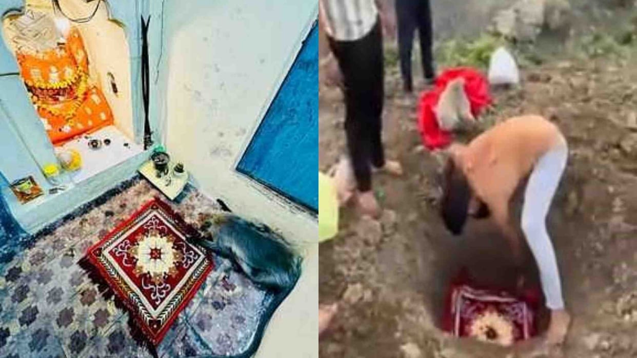Ujjain News: The monkey king gave up his life at the doorstep of mother Bijasan