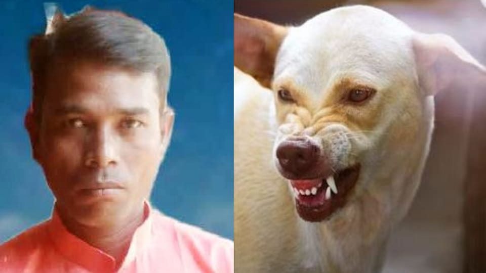 dog bite Effect  young man started getting scared of water his family members trembled after seeing his actio