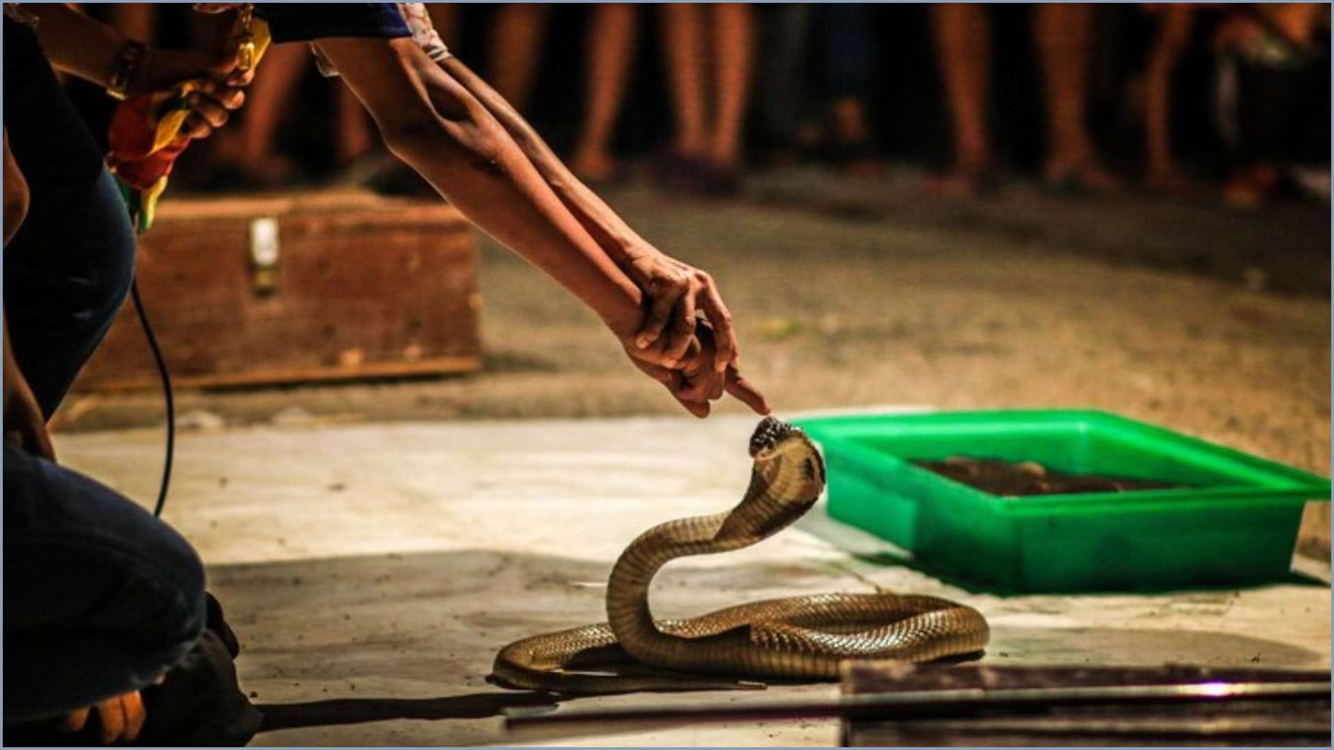 This is the most dangerous job in the world