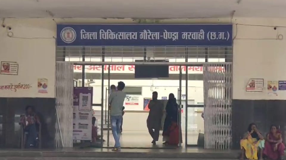 तीन महिलाओं पर भालू ने किया हमला