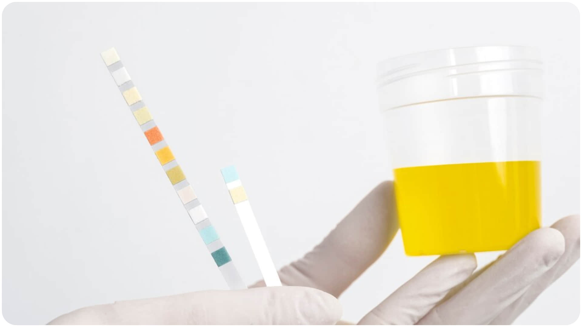 full body checkup plan 10 Essential Tests You Should Get Every Year