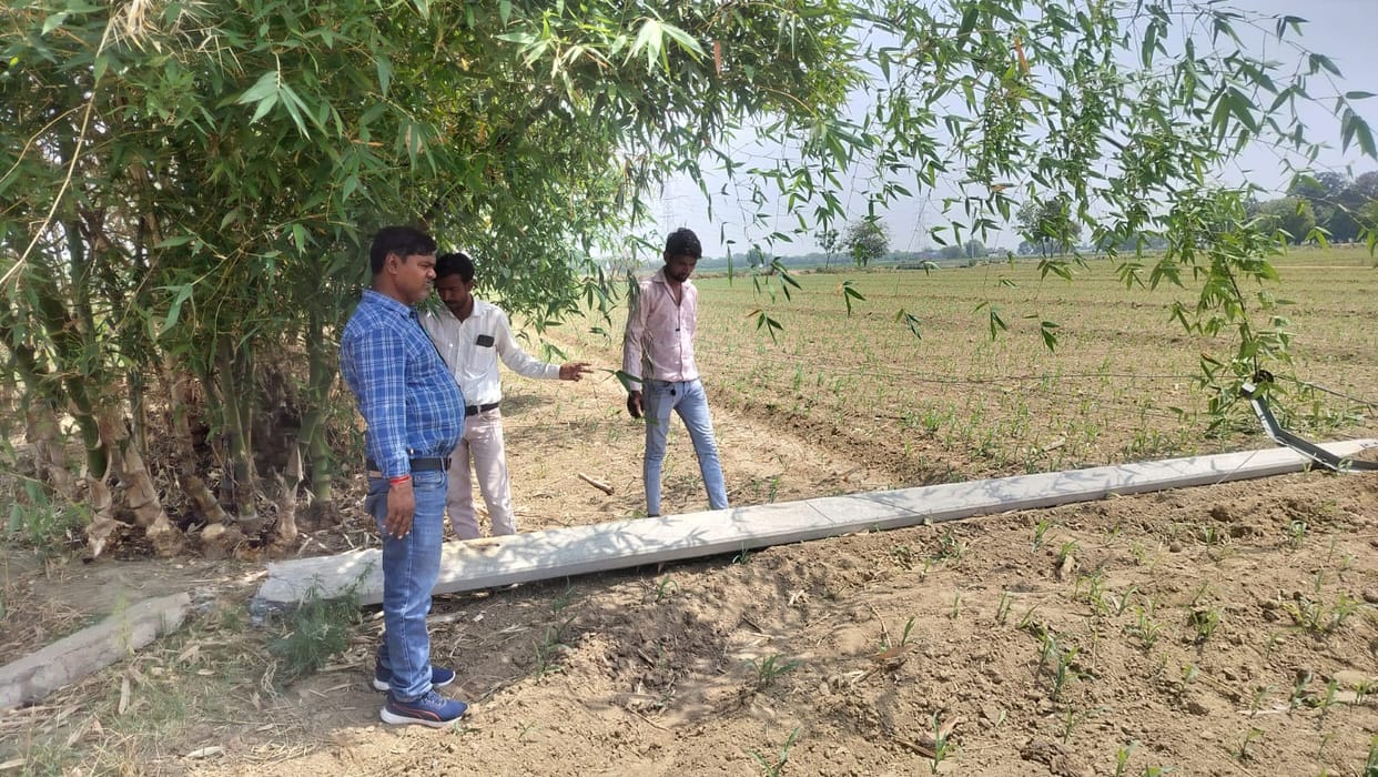 storm caused power crisis in 250 villages