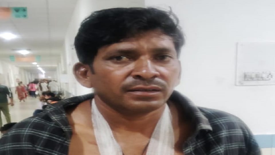 Tiger attacked the man in ramnagar