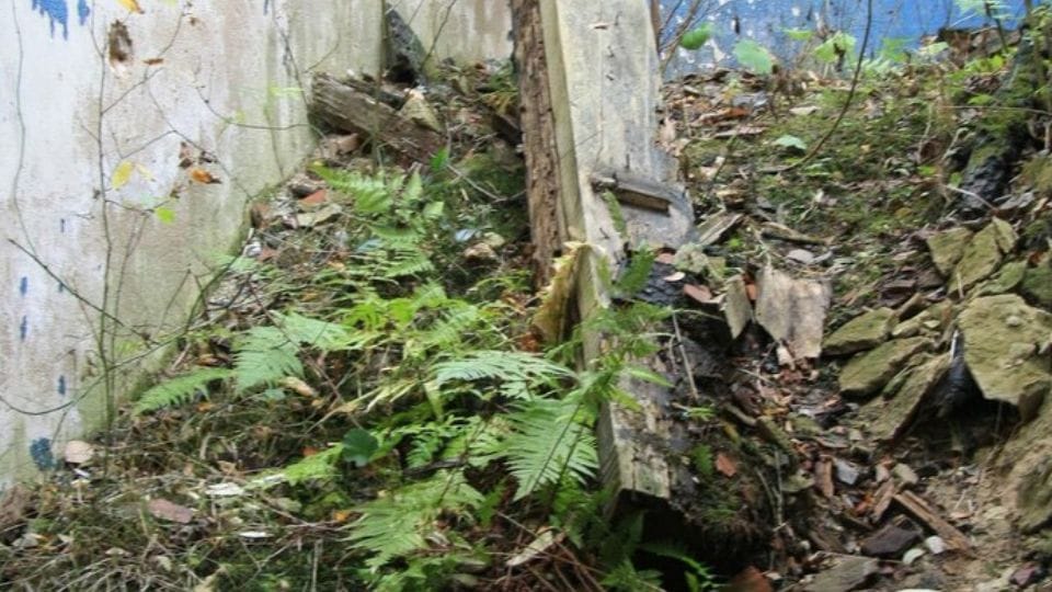 Three people died in Hardoi and one each in Kannauj and Farrukhabad due to falling of trees and walls in the s