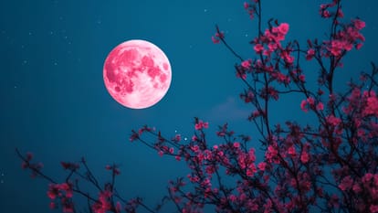 Sakat Chauth Or Til Chauth Importance in Hindi Subh Yog Til Chaturthi Kab Hai