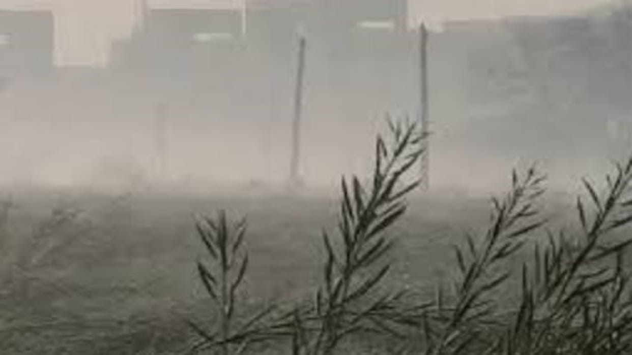 Rajasthan Weather Today: Warning of severe storm and rain in 23 districts today, IMD issued Orange Alert