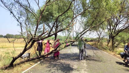 Up Weather News storm and rain caused havoc in bhadohi crops of farmers were destroyed trees fell