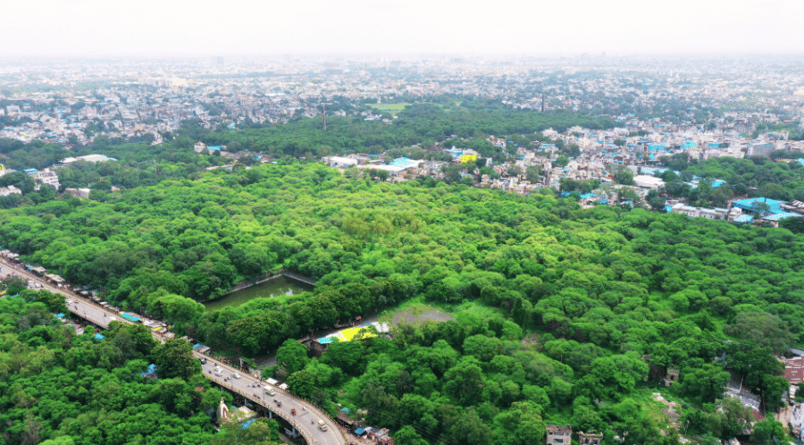 Indore News: From Garden City to Pollution Capital How Indore Lost Its Green Glory