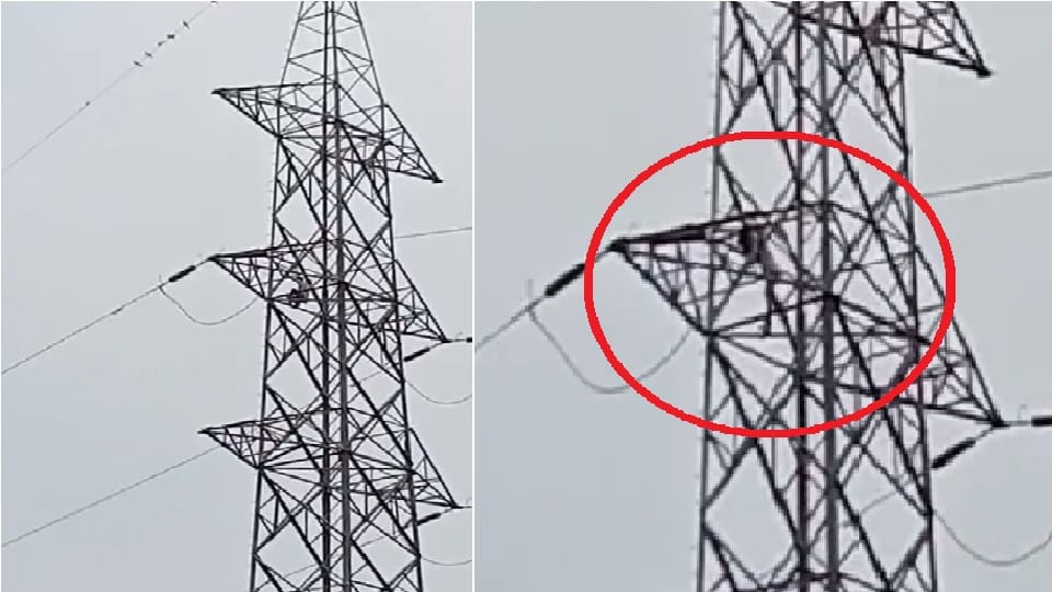 Young man climbed an electricity tower to insist on living with his girlfriend In Hapur