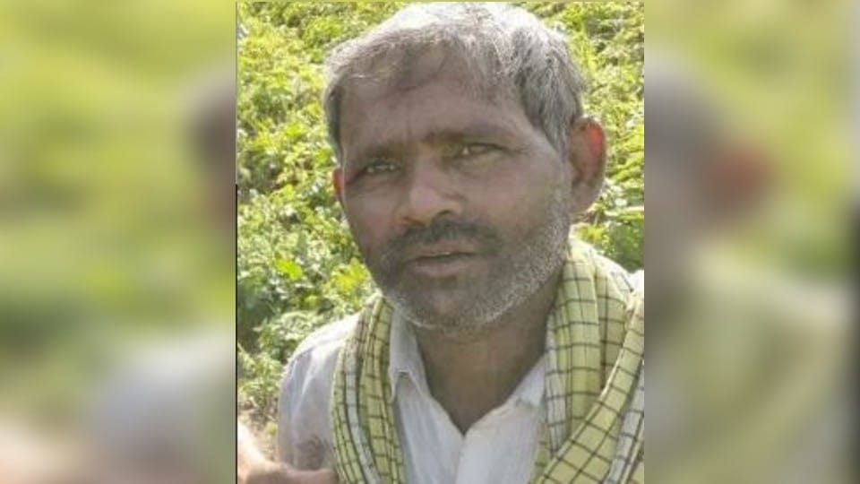 A farmer injured due to falling of an electric pole in a storm died