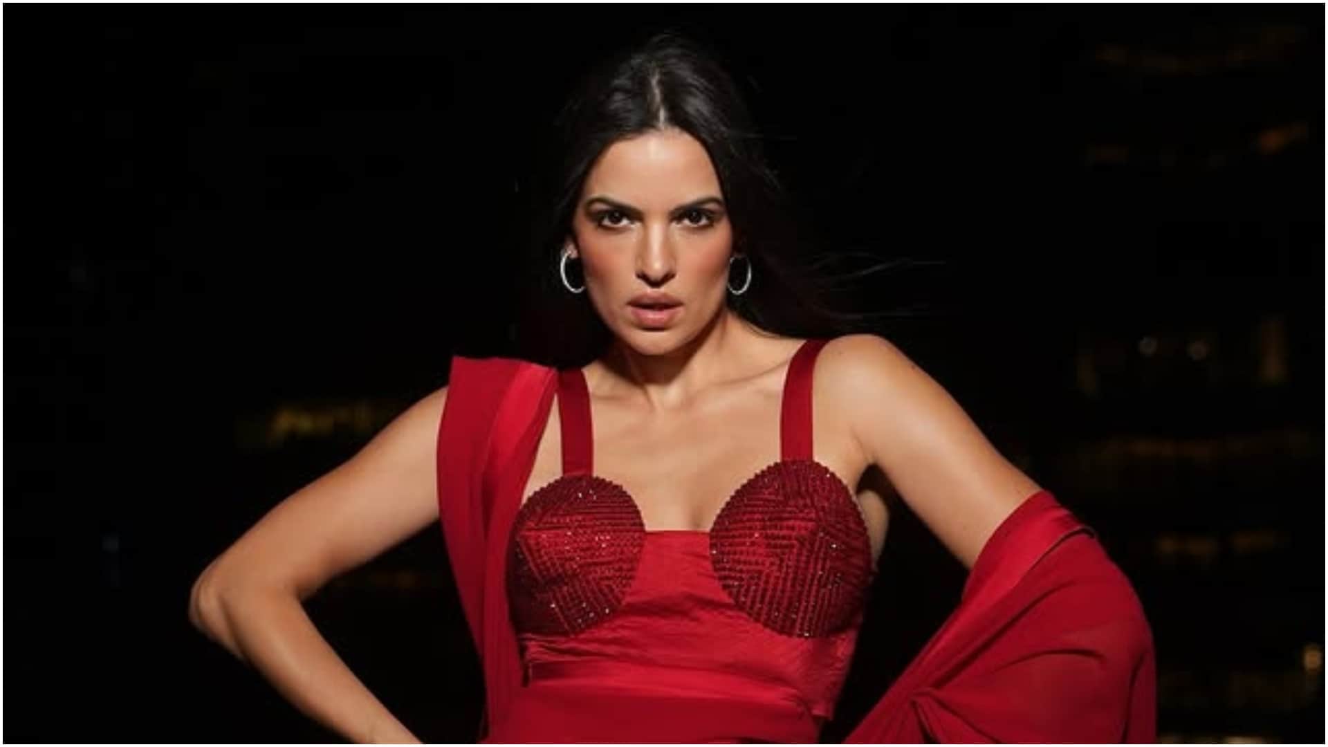 Bigg Boss Foreign Contestants Where Are They Now From Natalia to Sunny Leone Natasa Stankovic
