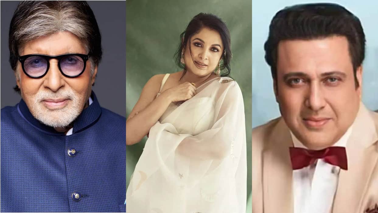 Ramya Krishnan Worked in Hindi Films List Criminal Banarasi Babu Bade Miyan Chote Miyan Chaahat