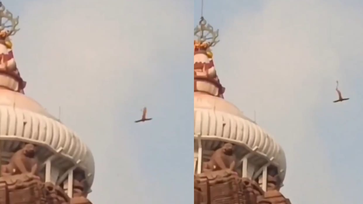 Jagannath Temple Flag Was Taken Away By An Eagle people Says about the divine play of god