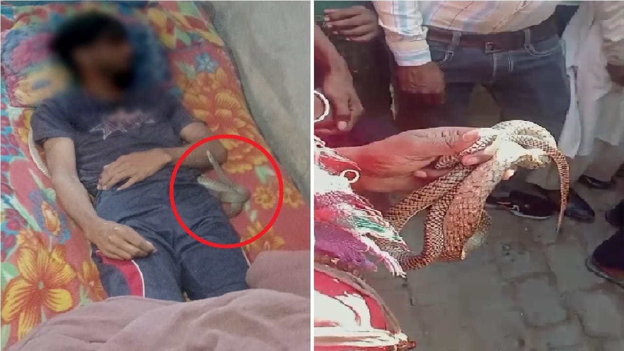 Murder in love affair: Husband became a thorn in his eyes when wife fell in love with Amardeep