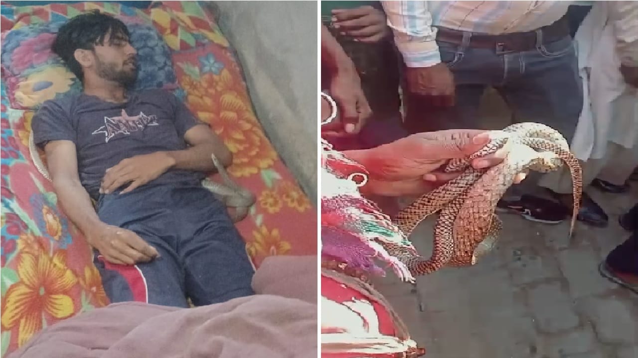 Meerut: Wife along with her lover strangled husband to death, then got him bitten by a snake