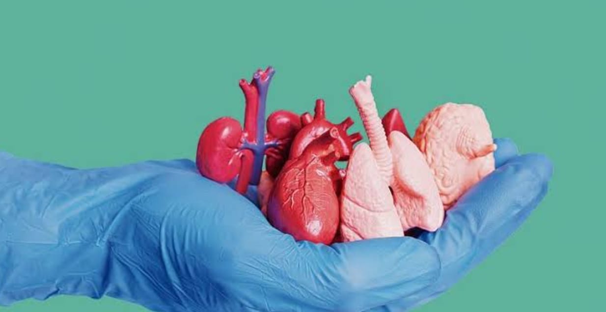 Indore: Ayanvit of Indore gave new life to four people in Abu Dhabi, donated heart, liver and kidneys