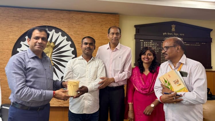 Bihar News: फसल विविधीकरण के तहत स्वीट कॉर्न और बेबी कॉर्न की खेती को दिया जाएगा बढ़ावा, दी जाएगी हर संभव मदद