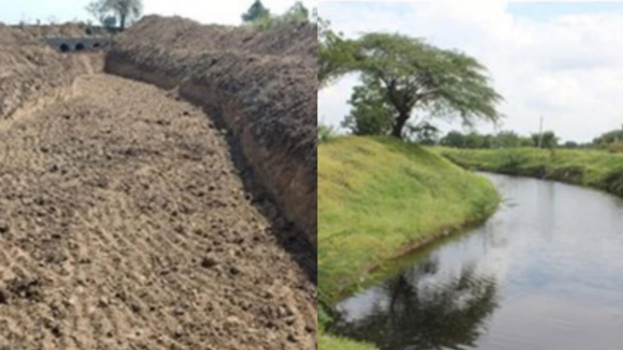Worrying: ecology of Balukhand-Konark Sanctuary in danger due to cyclones, greenery reduced
