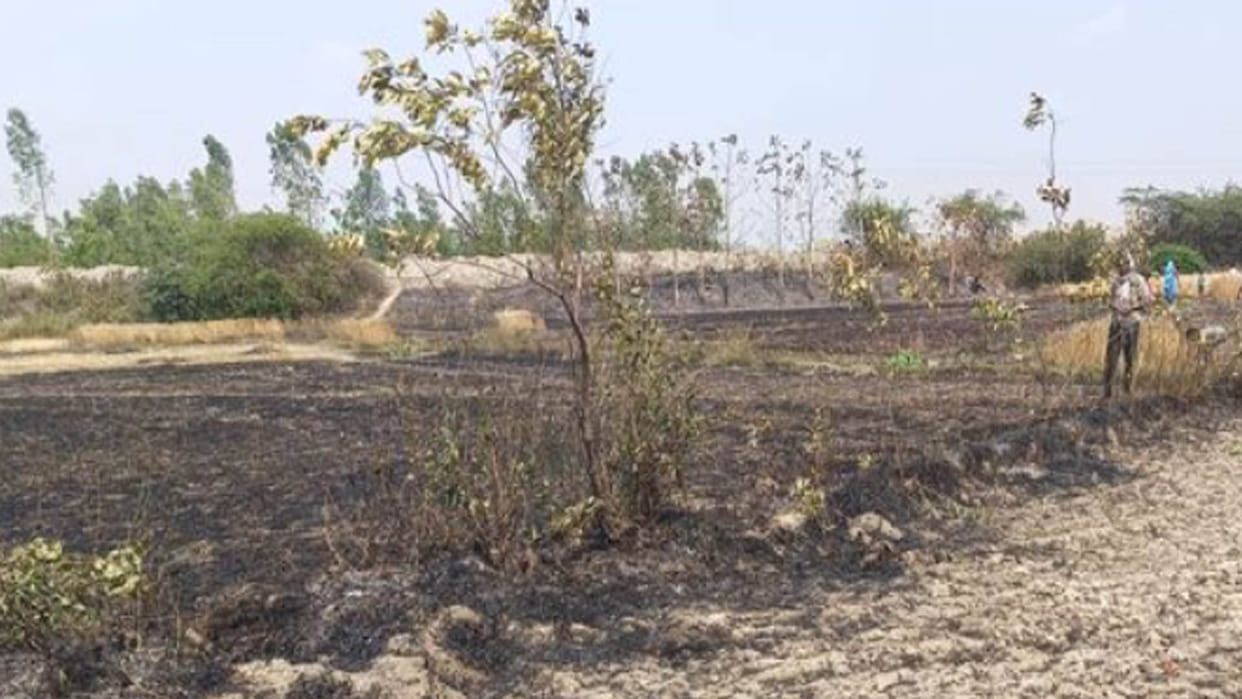 Hardoi: Five bighas of crops burnt to ashes due to fire caused by sparks from high tension wires
