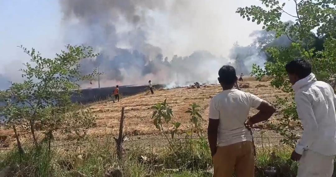 Three bighas wheat crop burnt due to spark high tension line anger erupted villagers