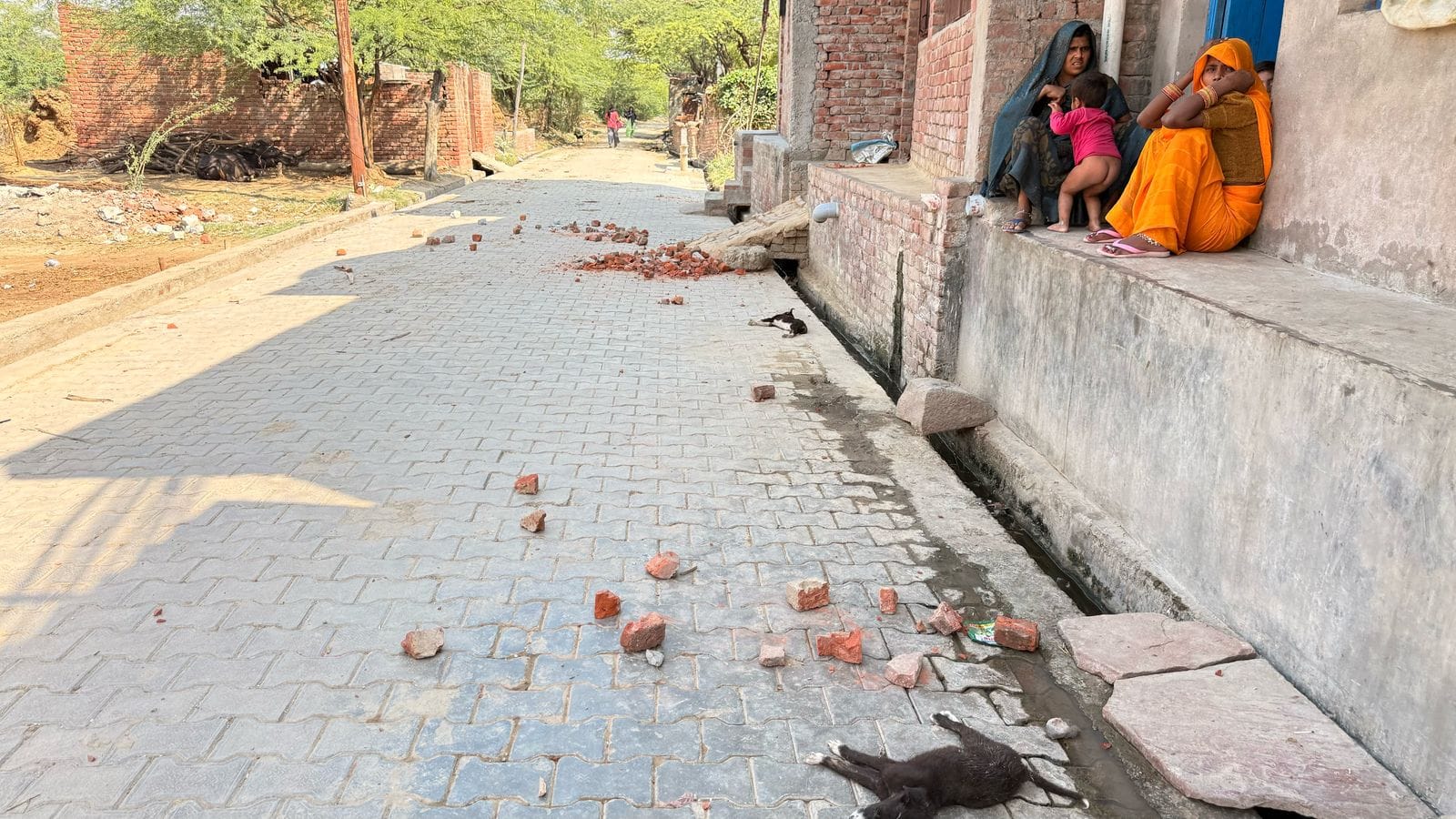 Uproar over damage to statue of former Chief Minister Kalyan Singh