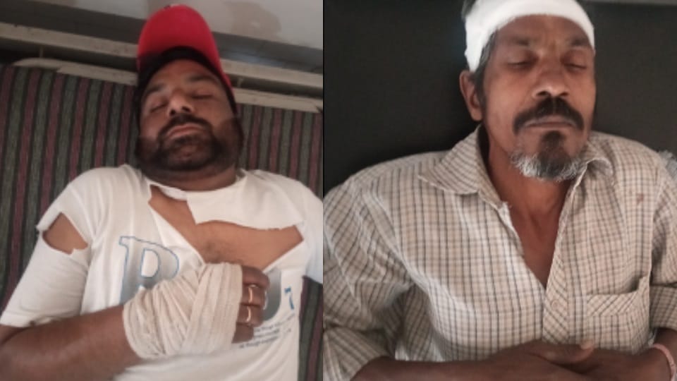 Neighbours clashed over a dog five people including couple injured