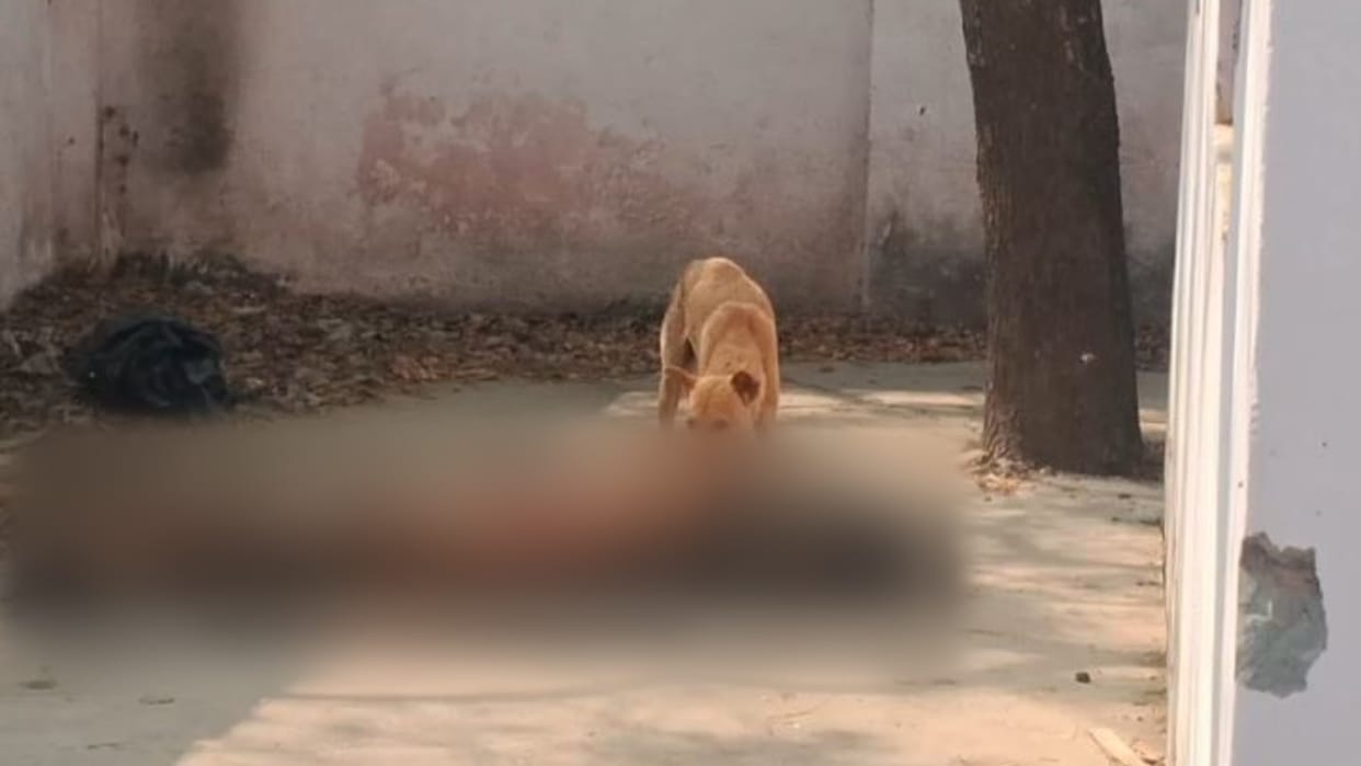 dog kept scratching the body of man at the postmortem house in Budaun