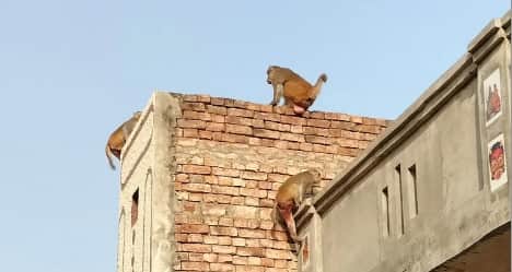 Hathras Labourer Dies After Falling From Third Floor