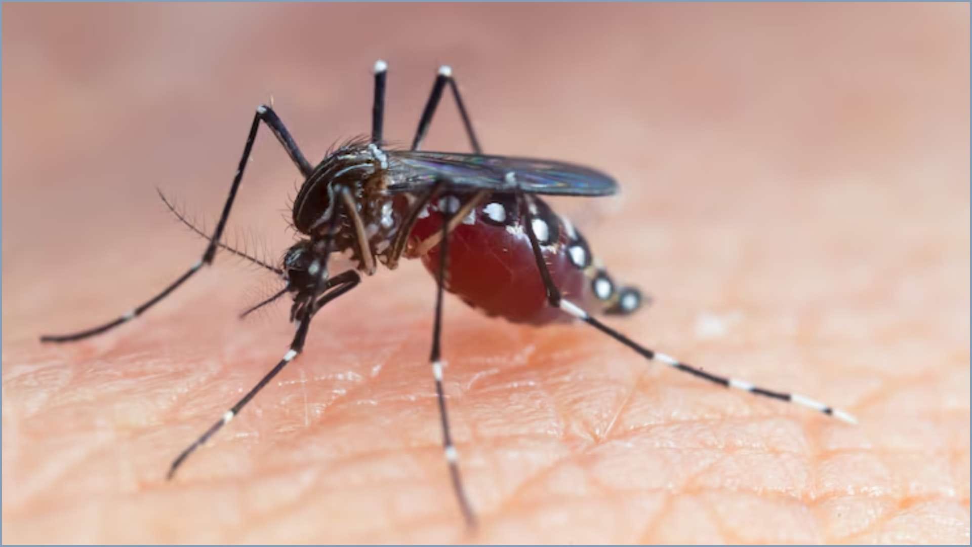Dangerous Creatures: These Creatures Can Be Deadly to Touch, See the List Here
