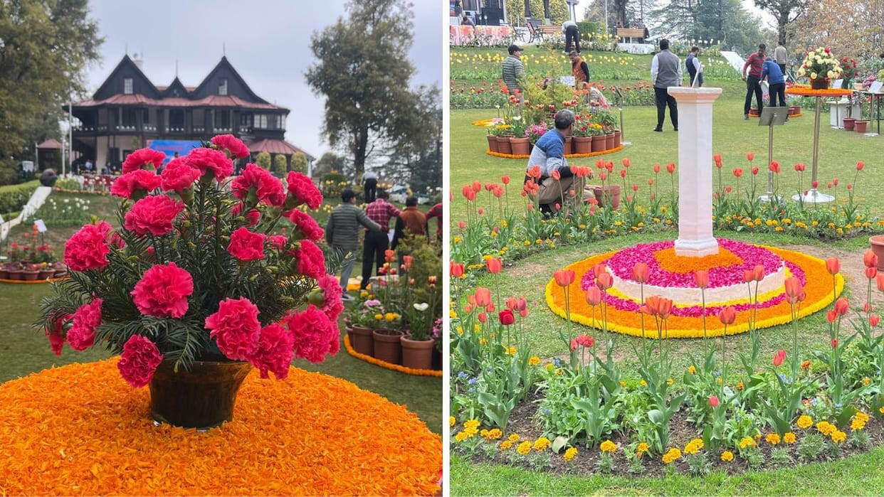 President Himachal Visit Before Murmu arrival flowers bloomed in Rashtrapati Bhavan