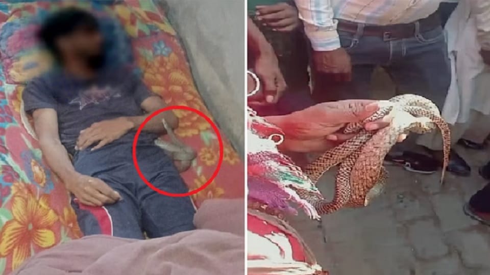 Meerut: Amit did not die due to snake bite, he was murdered by strangulation
