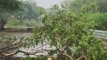 UP: 11 deaths in Awadh due to storm and rain, CM Yogi instructed officials to provide immediate assistance