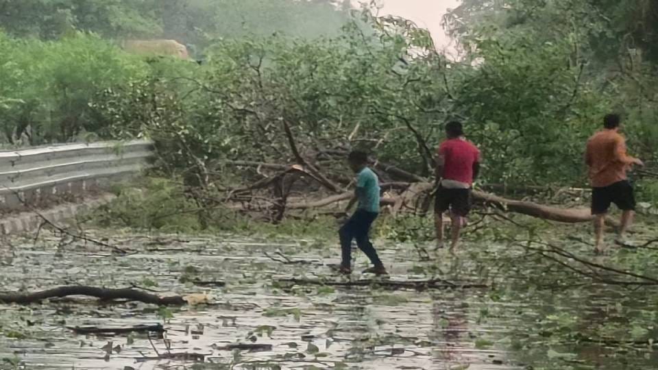 10 people died and 10 were seriously injured in Barabanki and Ayodhya due to storm and rain