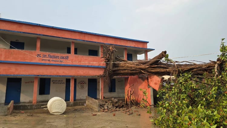 Storm in Bihar: ऐसी आंधी आई कि जड़ से उखड़ा पेड़ स्कूल की दीवार में घुसा, फसल और उद्योग भी तहस-नहस
