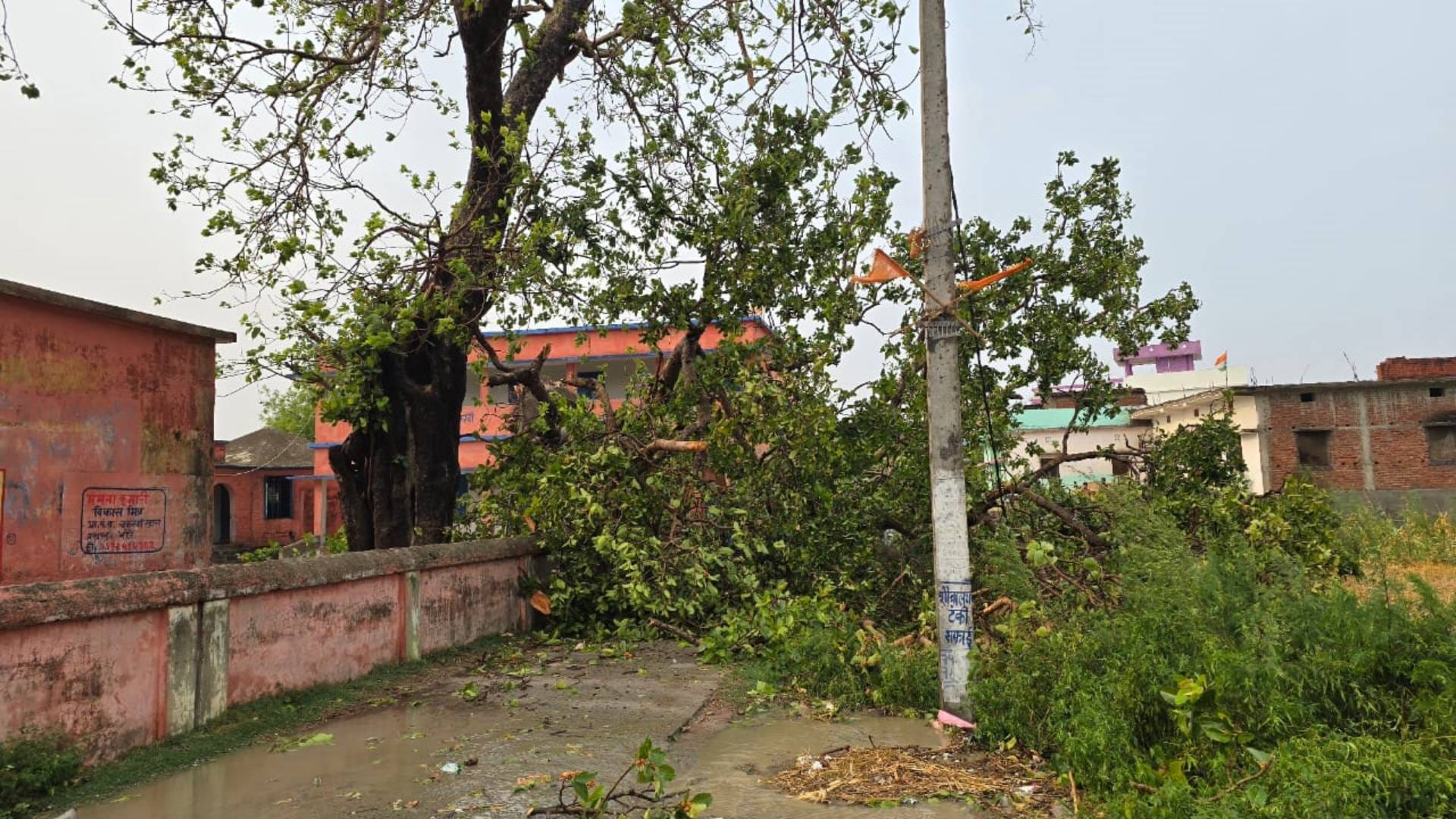 Bihar storm came in Gopalganj that uprooted tree entered school wall crops and industry were also destroyed