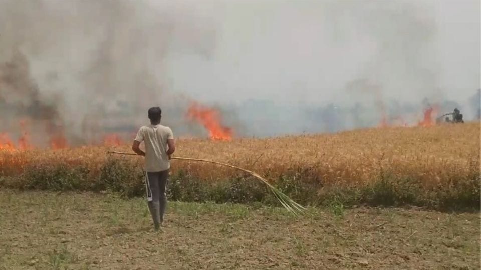 A spark from an electric line caused a fire in the wheat crop in Bulandshahr