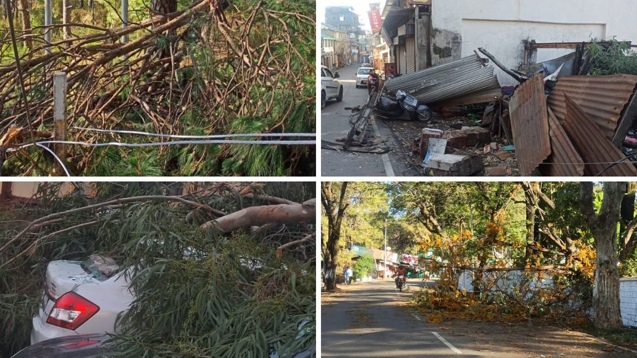 Himachal Weather terrified by the storm at midnight trees were uprooted roofs were blown away