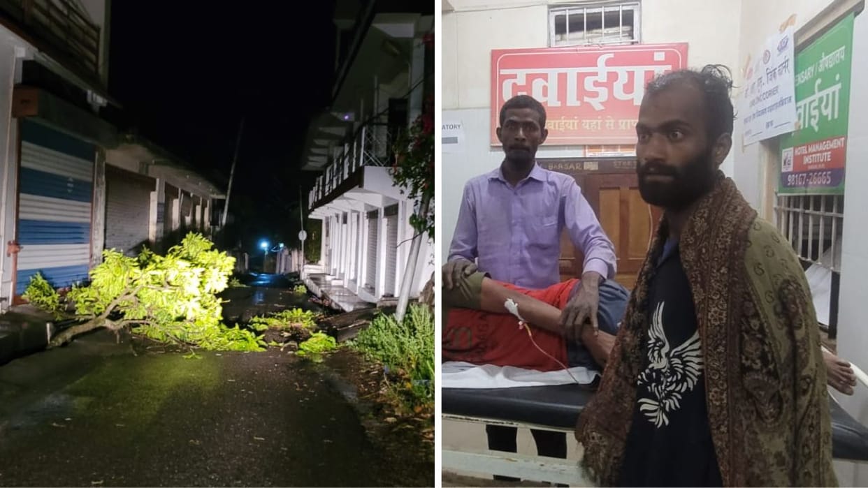 Hamirpur News Tree fell on slum eight year old child died father injured