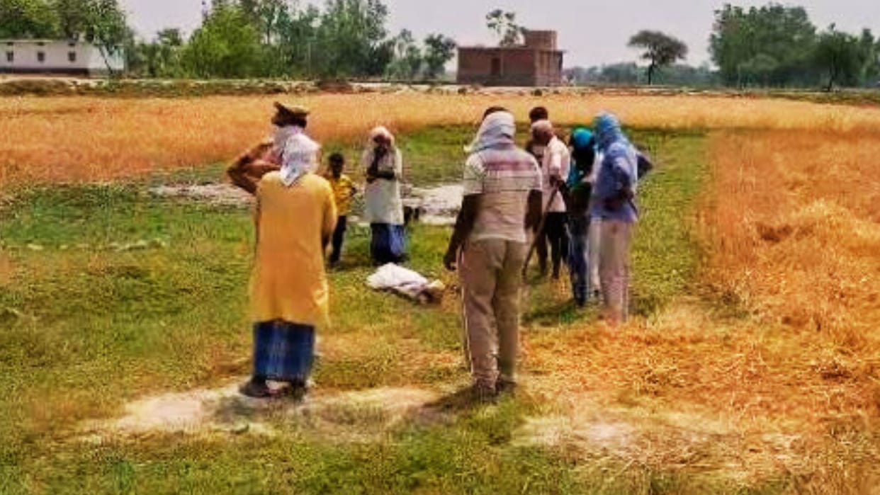Pieces of meat found Force reached Siwan in Mau action started after filing case