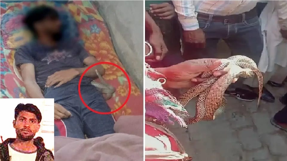 Meerut Saurabh murder Wife killed husband with her lover then got him bitten by a snake