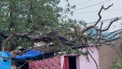 UP: Storm and rain became deadly in the state, two died in Sitapur; weather will take a complete U-turn from A