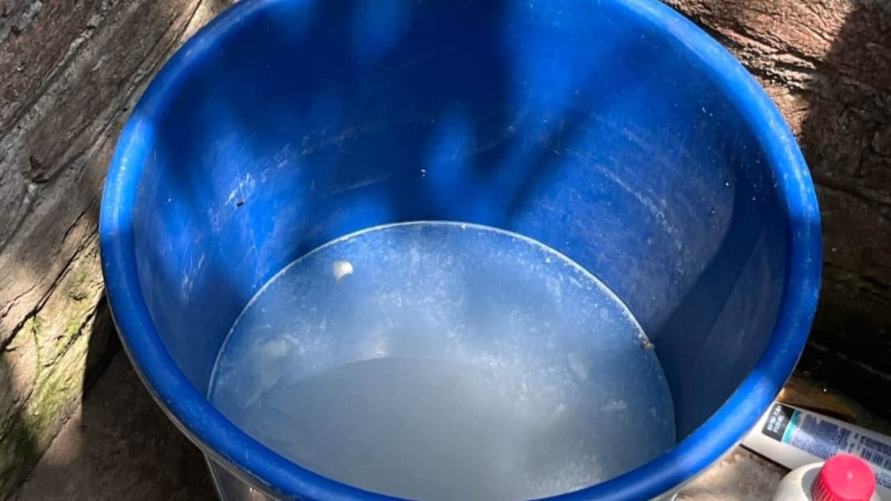 Why Does a Bathroom Bucket Develop a Slimy Layer When Water Is Stored for Da