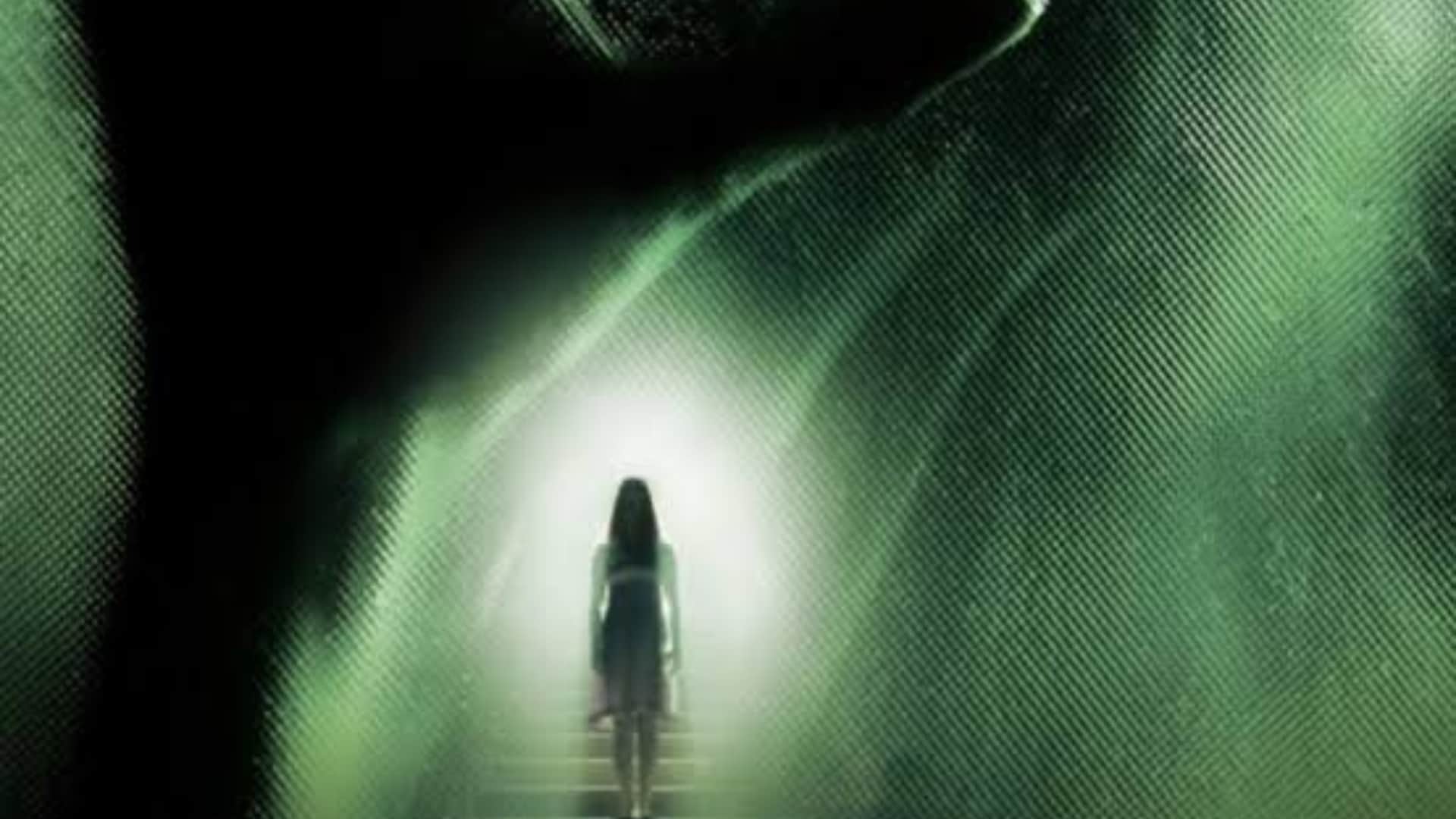Haunted 3D Echoes Of The Past Box Office Collection Day 3 Earnings And Reports