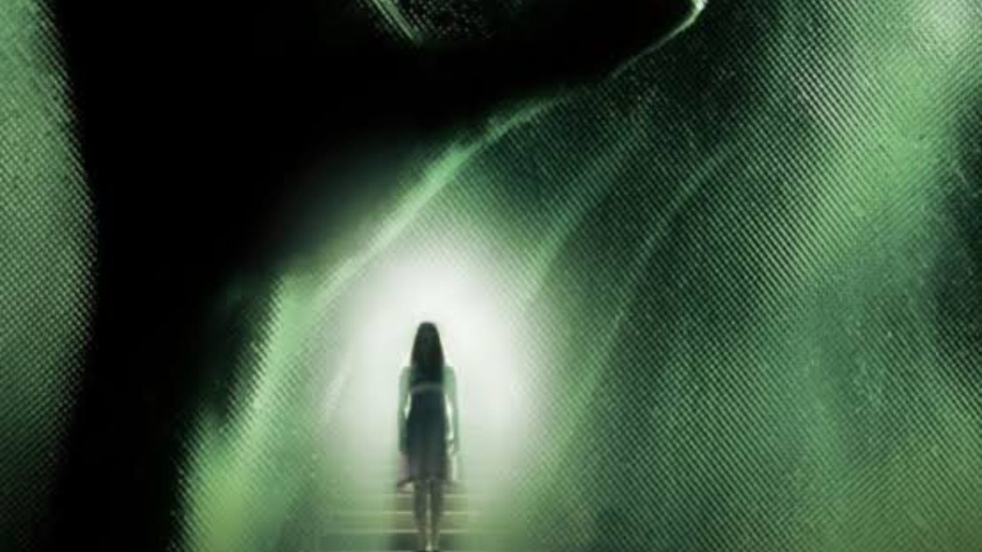 Haunted 3D Echoes Of The Past Box Office Collection Day 3 Earnings And Reports