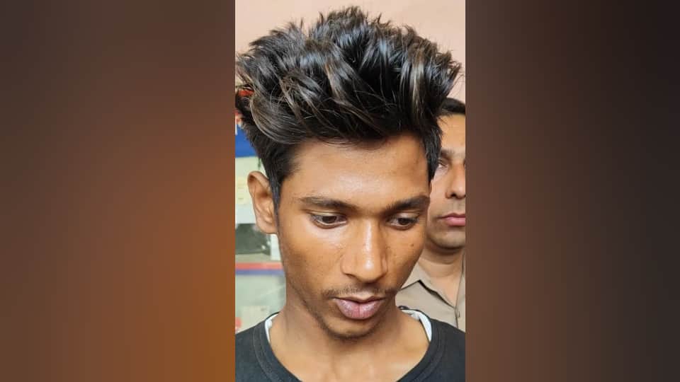 Meerut Saurabh murder amit wife had planned to kill him by getting bitten by a snake crime in meerut news