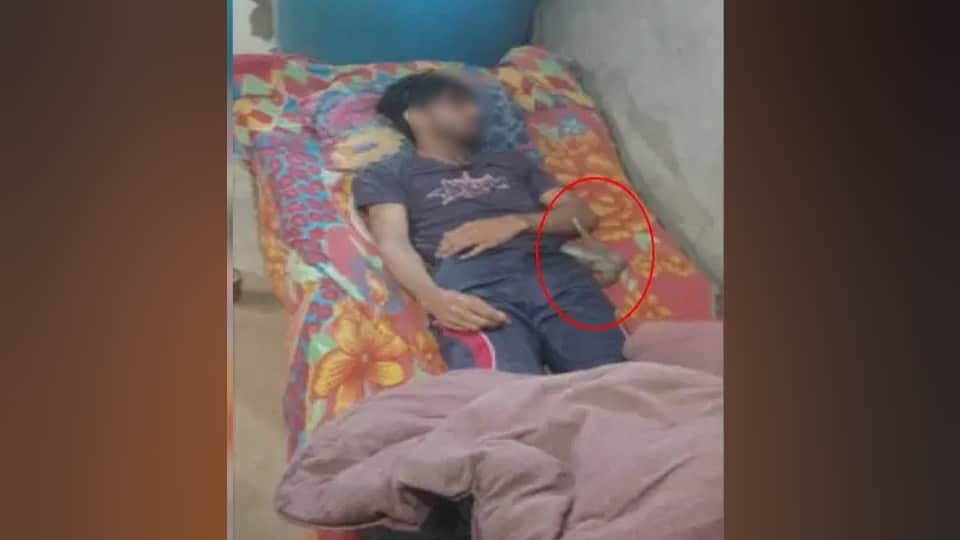 Meerut Saurabh murder amit wife had planned to kill him by getting bitten by a snake crime in meerut news