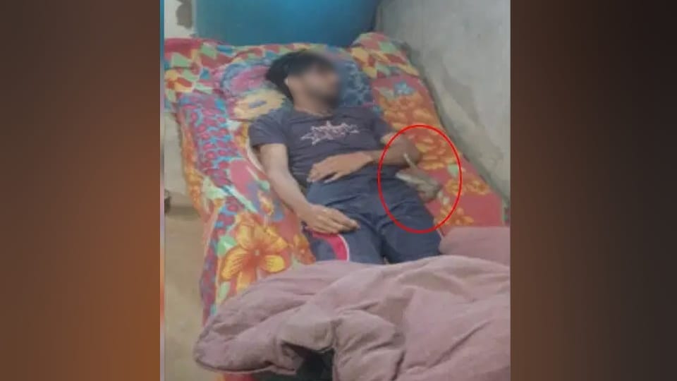 Meerut Saurabh murder amit wife had planned to kill him by getting bitten by a snake crime in meerut news