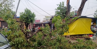 Bihar News: One person died and two were injured due to falling of tree branch in storm in Gopalganj